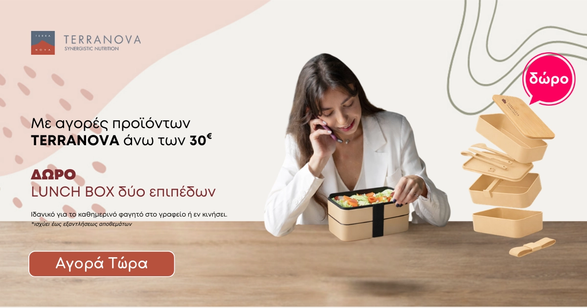 TERRANOVA Δώρο Lunch Box