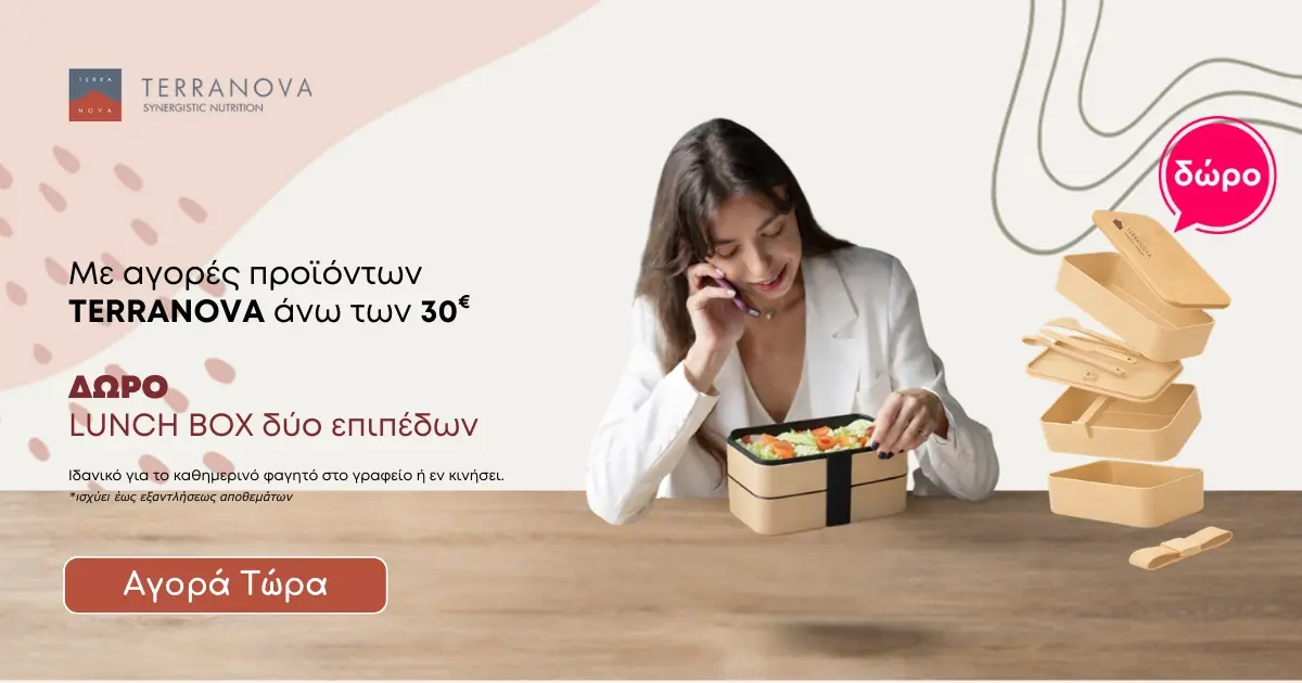 TERRANOVA Δώρο Lunch Box